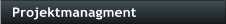 Projektmanagment