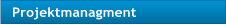 Projektmanagment