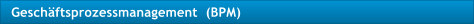 Geschftsprozessmanagement  (BPM)