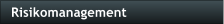 Risikomanagement