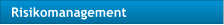 Risikomanagement