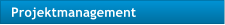 Projektmanagement