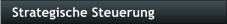 Strategische Steuerung