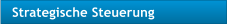 Strategische Steuerung