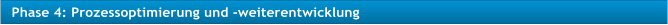 Phase 4: Prozessoptimierung und -weiterentwicklung