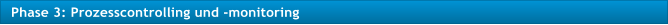 Phase 3: Prozesscontrolling und -monitoring