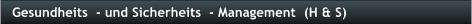 Gesundheits  - und Sicherheits  - Management  (H & S)