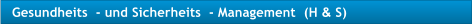 Gesundheits  - und Sicherheits  - Management  (H & S)